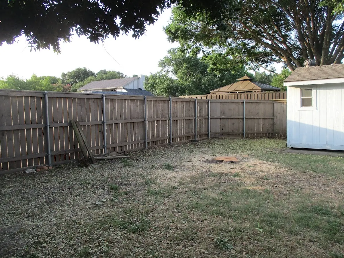 Cleared yard after professional tree removal in Willow Lake